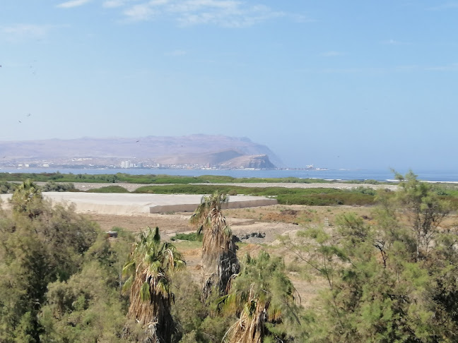 Gallinazos - Camping