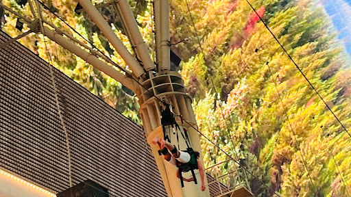 Tourist Attraction «SlotZilla Zip Line», reviews and photos, 425 Fremont St #160, Las Vegas, NV 89101, USA