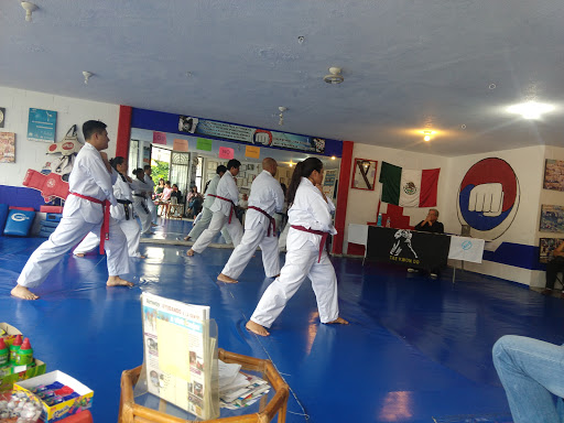 GIMNASIO POWDER GYM Y Escuela Profesional De Taekwondo