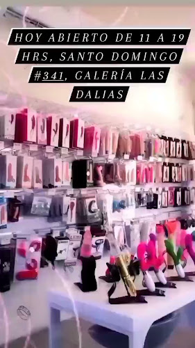 Sex shop El rincon del deseo. - Puente Alto