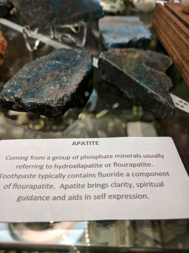 Clothing Store «Terrapin Worldwide Imports», reviews and photos, 237 S Kalamazoo Mall, Kalamazoo, MI 49007, USA