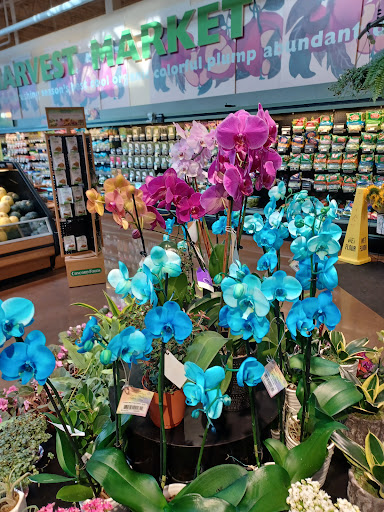 Grocery Store «Hannaford Supermarket», reviews and photos, 777 Rogers St, Lowell, MA 01852, USA