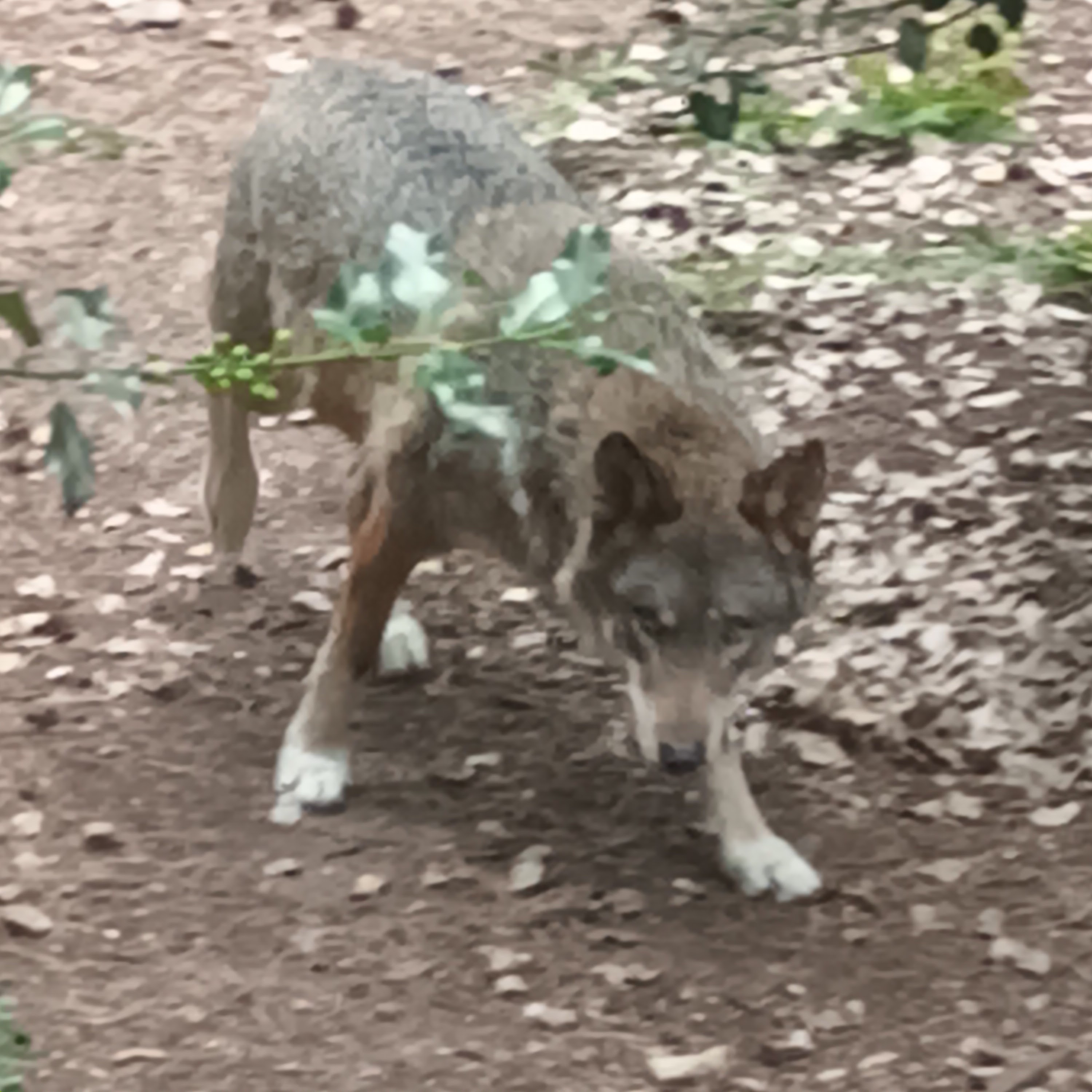 Photo n° 6 de l'avis de Jean.u fait le 20/07/2023 à 15:55
