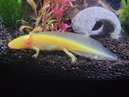 Pet Supply Store «PetSmart», reviews and photos, 7340 W 191st St, Tinley Park, IL 60487, USA