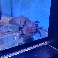 Jay's Aquatics - Photo 7 - Car repair in Salem, NH, Nashua