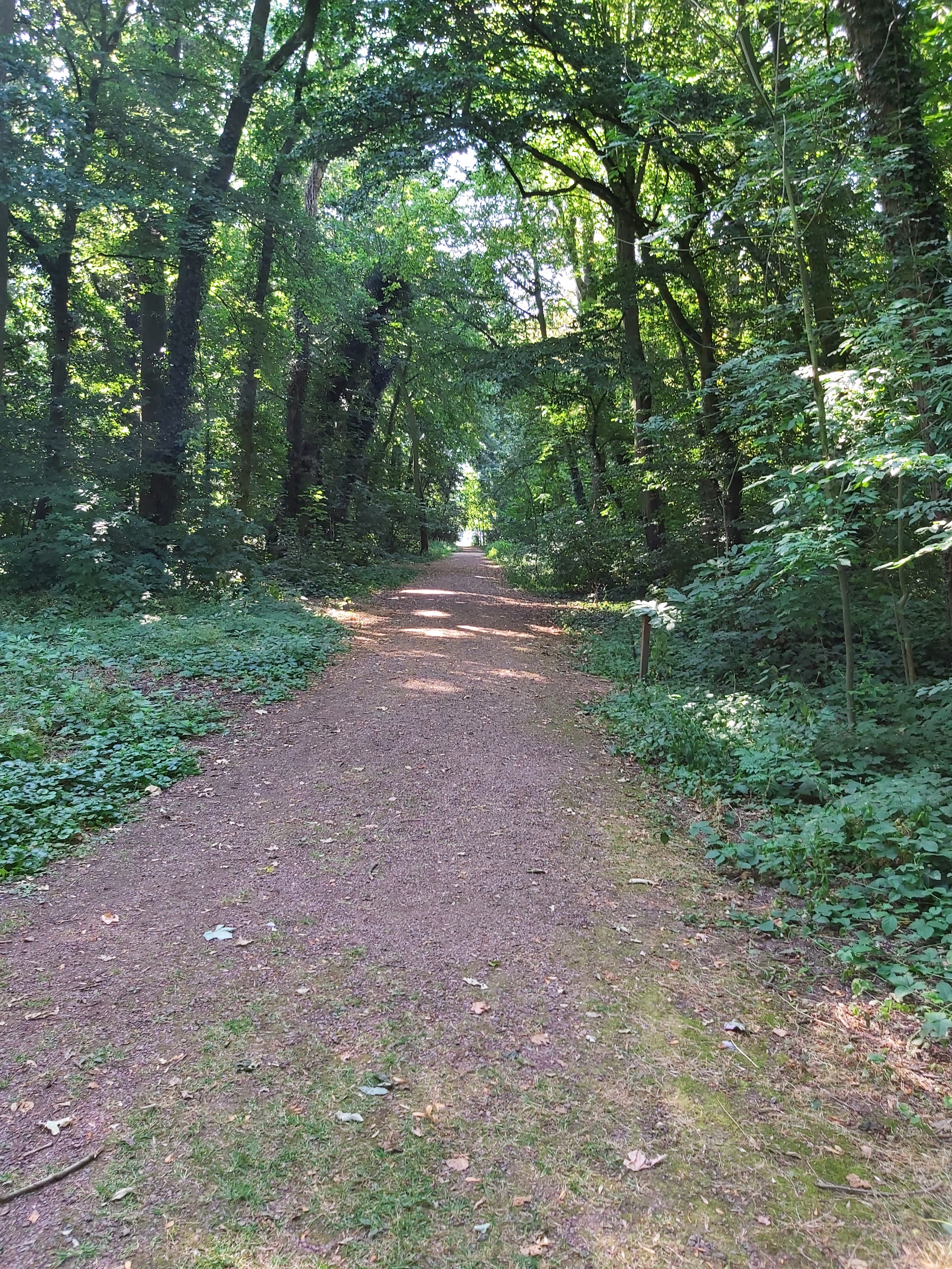 Photo n° 7 de l'avis de Sam. fait le 23/07/2019 à 08:35