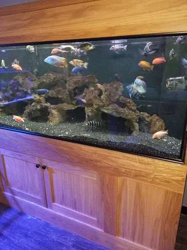 Aquarium «Aquatica», reviews and photos, 800 Clanton Rd H, Charlotte, NC 28117, USA