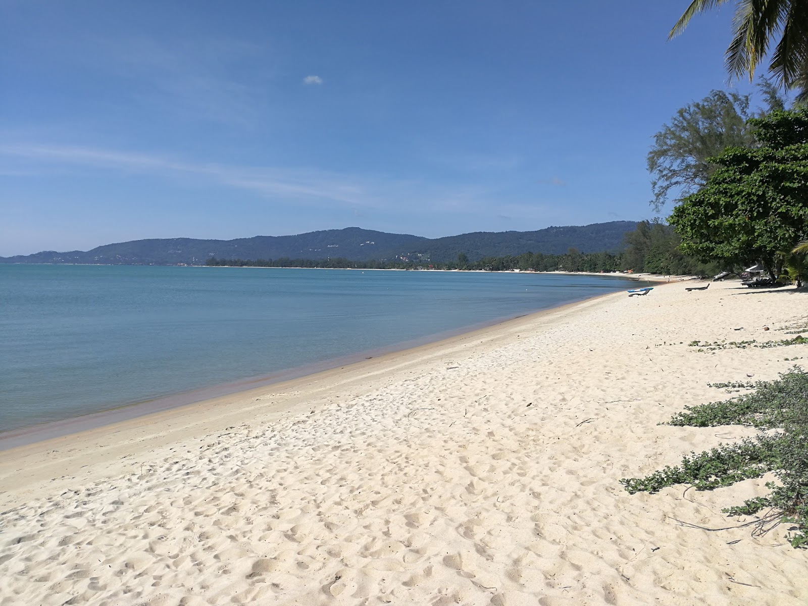 Foto di Lipa Noi Beach con una superficie del sabbia beige