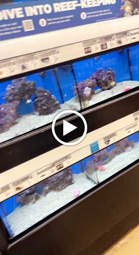 Pet Supply Store «Petco Animal Supplies», reviews and photos, 5239 Harvey St, Norton Shores, MI 49444, USA