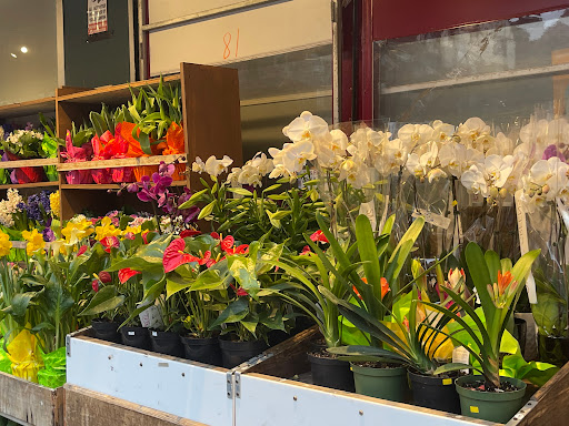 Grocery Store «Natural Market», reviews and photos, 7256 Austin St, Flushing, NY 11375, USA