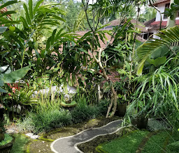 Padma Ubud Retreat photo