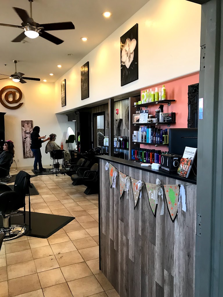 New York Moon Salon 81505