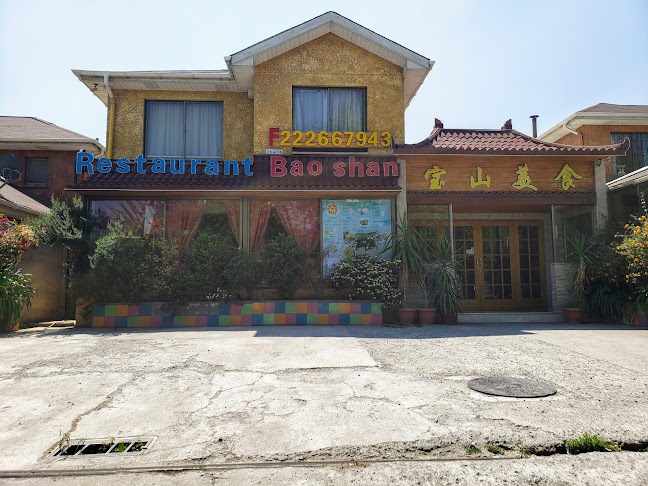 Opiniones de Restaurant Bao shan en Puente Alto - Restaurante