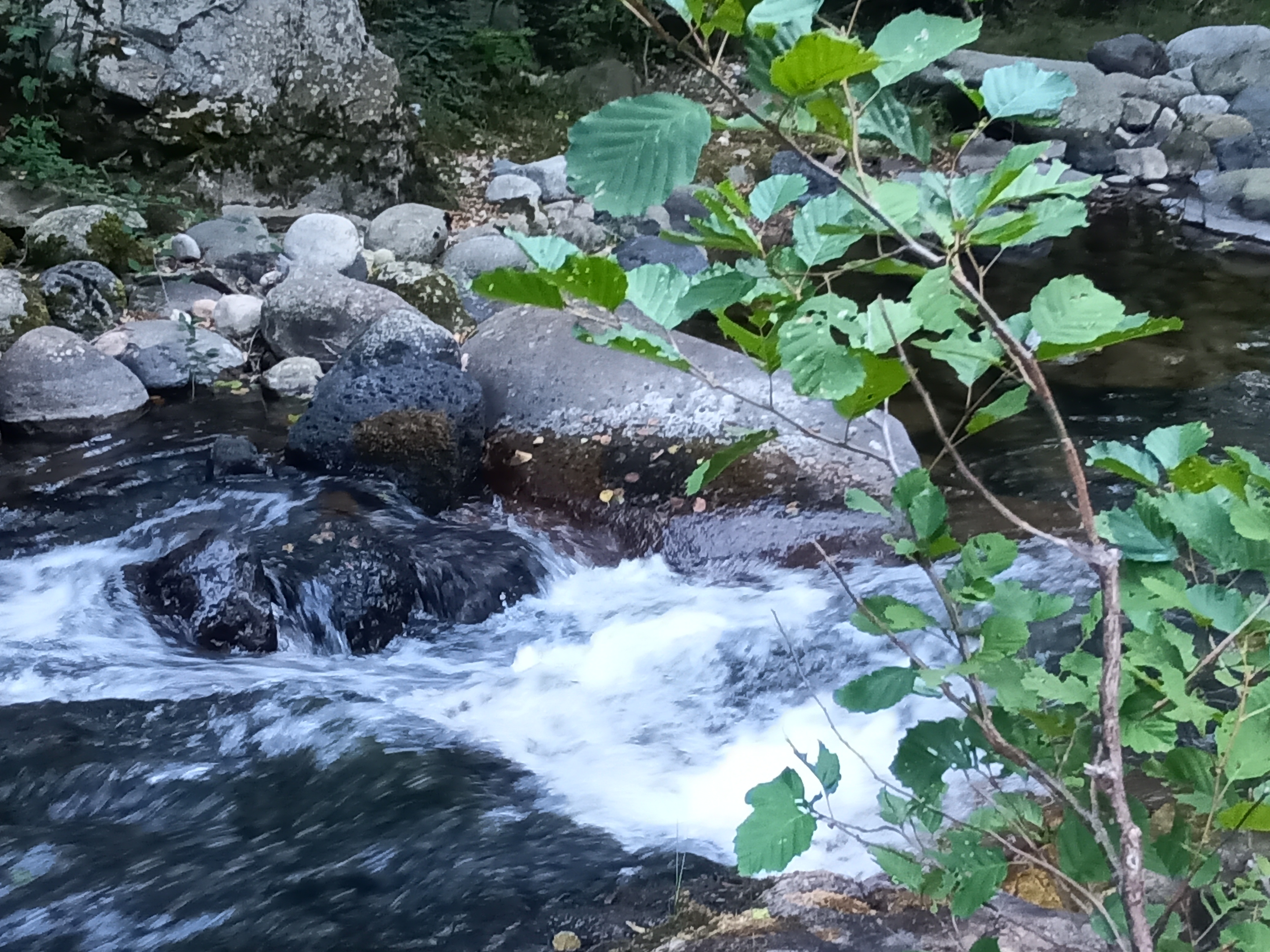 Photo n° 6 de l'avis de Joséfa.o fait le 15/08/2022 à 09:45