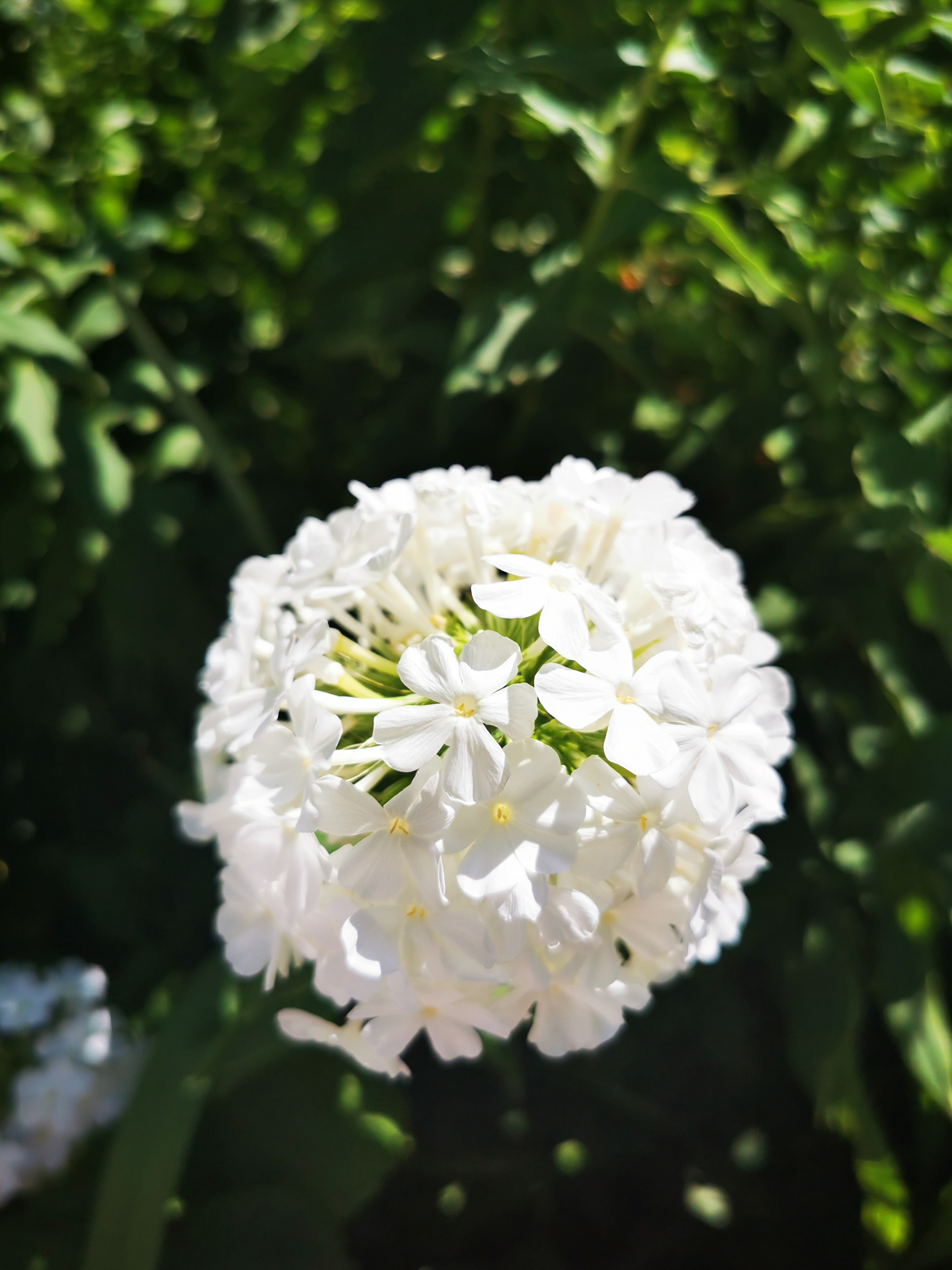 Photo n° 4 de l'avis de ASMA.A fait le 16/08/2022 à 18:29