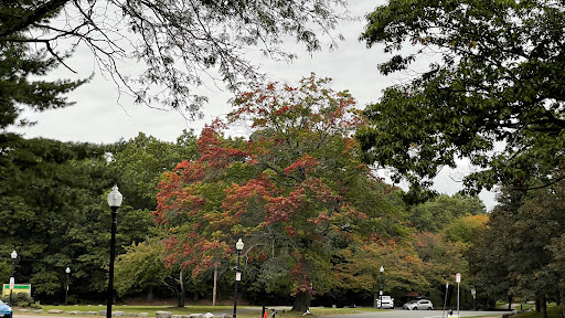 Park «Franklin Park», reviews and photos, 1 Franklin Park Rd, Boston, MA 02121, USA