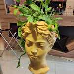 Photo n°3 de l'avis de Antonio.i fait le 22/08/2023 à 12:18 sur le  Restaurant La Kucina à Foggia