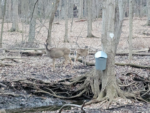 Nature Preserve «Stage Nature Center», reviews and photos, 6685 Coolidge Hwy, Troy, MI 48098, USA