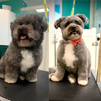 Puppy's Playpen - Photo 7 - Car repair in Overland Park, KS, Kansas City