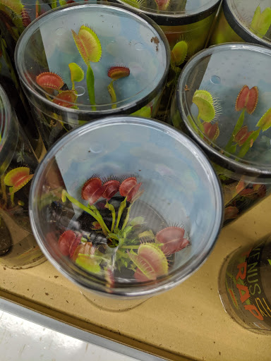 Shopping Mall «Cedar Knolls Plaza», reviews and photos, 235 Ridgedale Ave Ste 9, Cedar Knolls, NJ 07927, USA