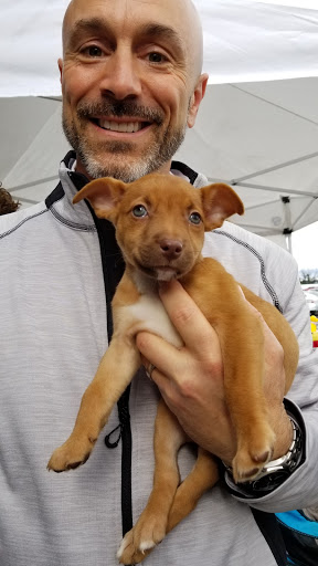 Subaru Dealer «Ciocca Subaru», reviews and photos, 4611 Hamilton Blvd, Allentown, PA 18103, USA