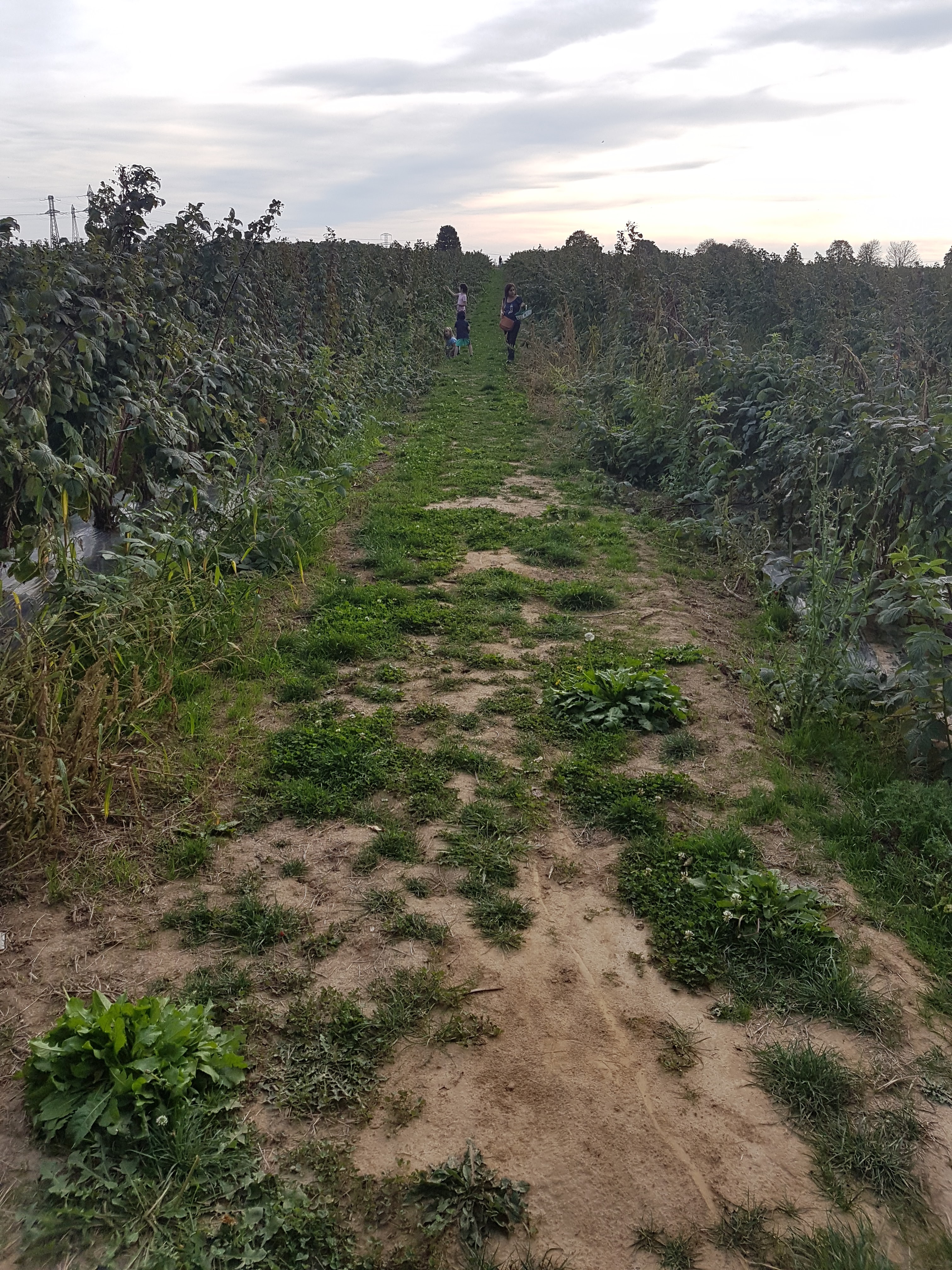 Photo n° 2 de l'avis de Rose.a fait le 13/10/2018 à 19:56