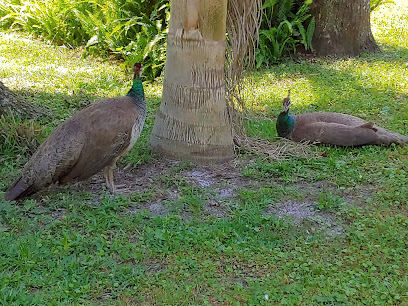 St. Augustine Wild Reserve