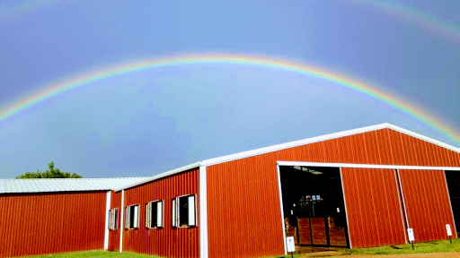 BuckBranch Farm