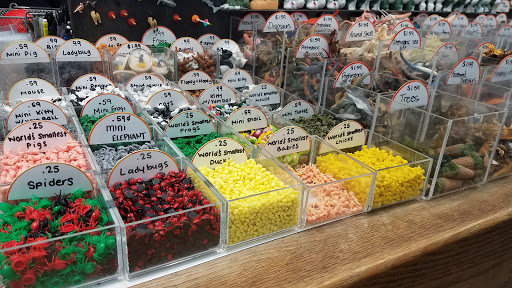 Novelty Store «Sausalito Ferry Co. Novelty Toy and Gift Store», reviews and photos, 688 Bridgeway, Sausalito, CA 94965, USA