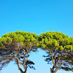 Photo n°1 de l'avis de Livia.u fait le 14/08/2018 à 16:20 sur le  Villa Favorita, Hotel Et Resort à Marsala