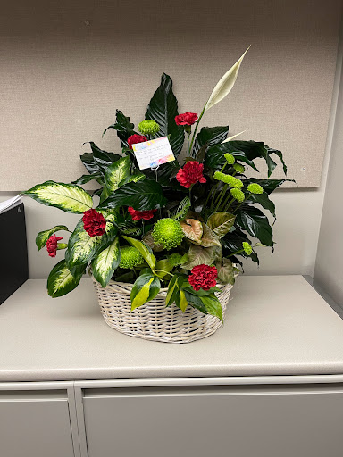 Florist «Flower & Gifts By Renee», reviews and photos, 6914 Schaefer Rd, Dearborn, MI 48126, USA