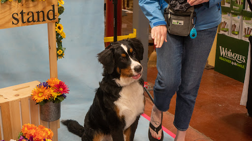 Pet Supply Store «Wags To Wiskers Pet Supplies», reviews and photos, 2423 W Stadium Blvd, Ann Arbor, MI 48103, USA