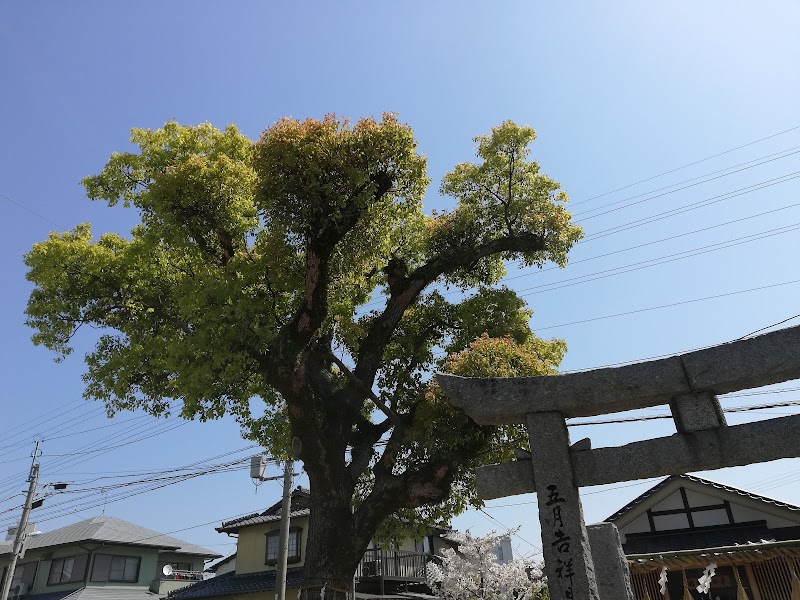 祇園神社