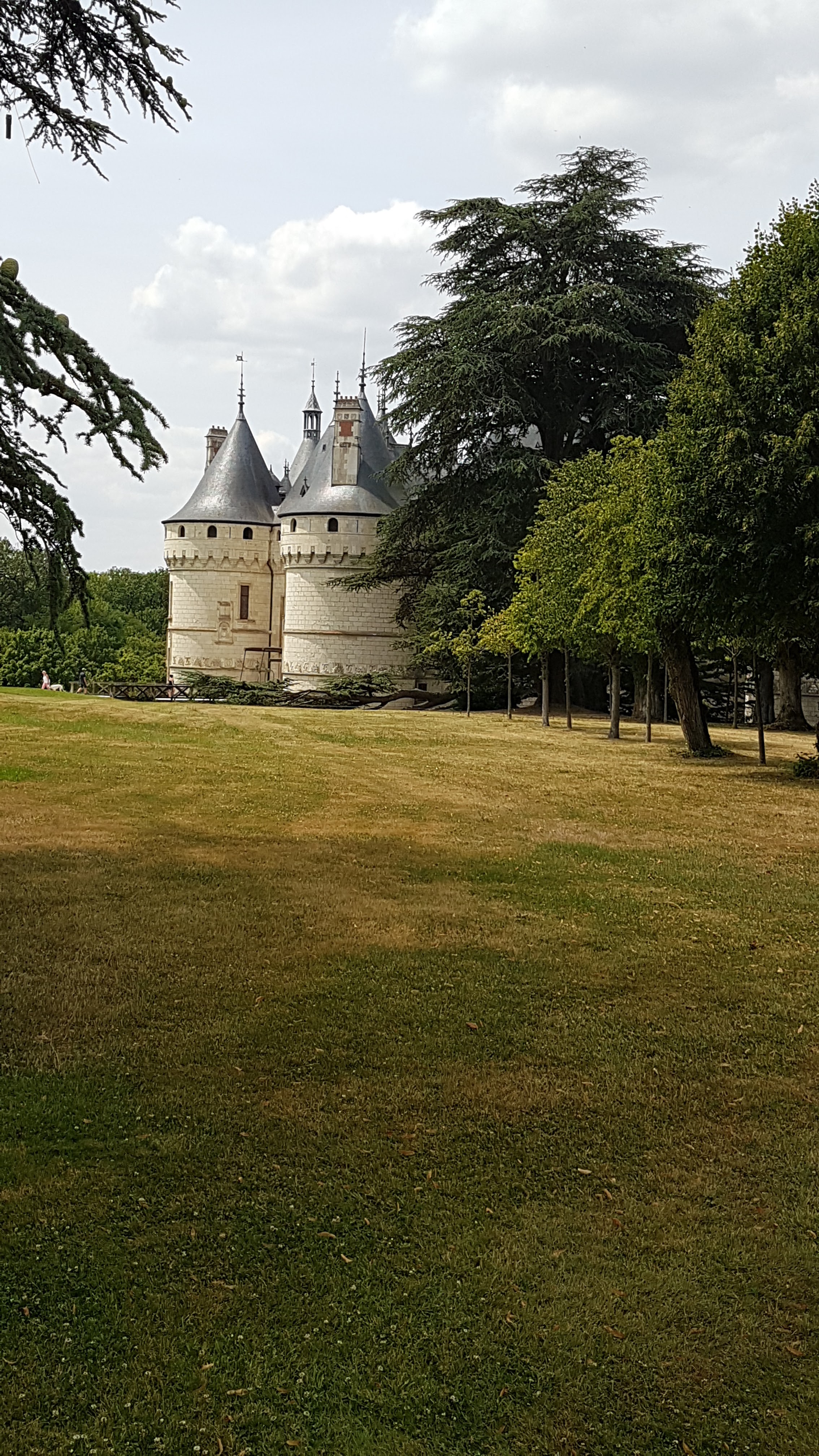 Photo n° 2 de l'avis de christine.o fait le 17/07/2019 à 20:51