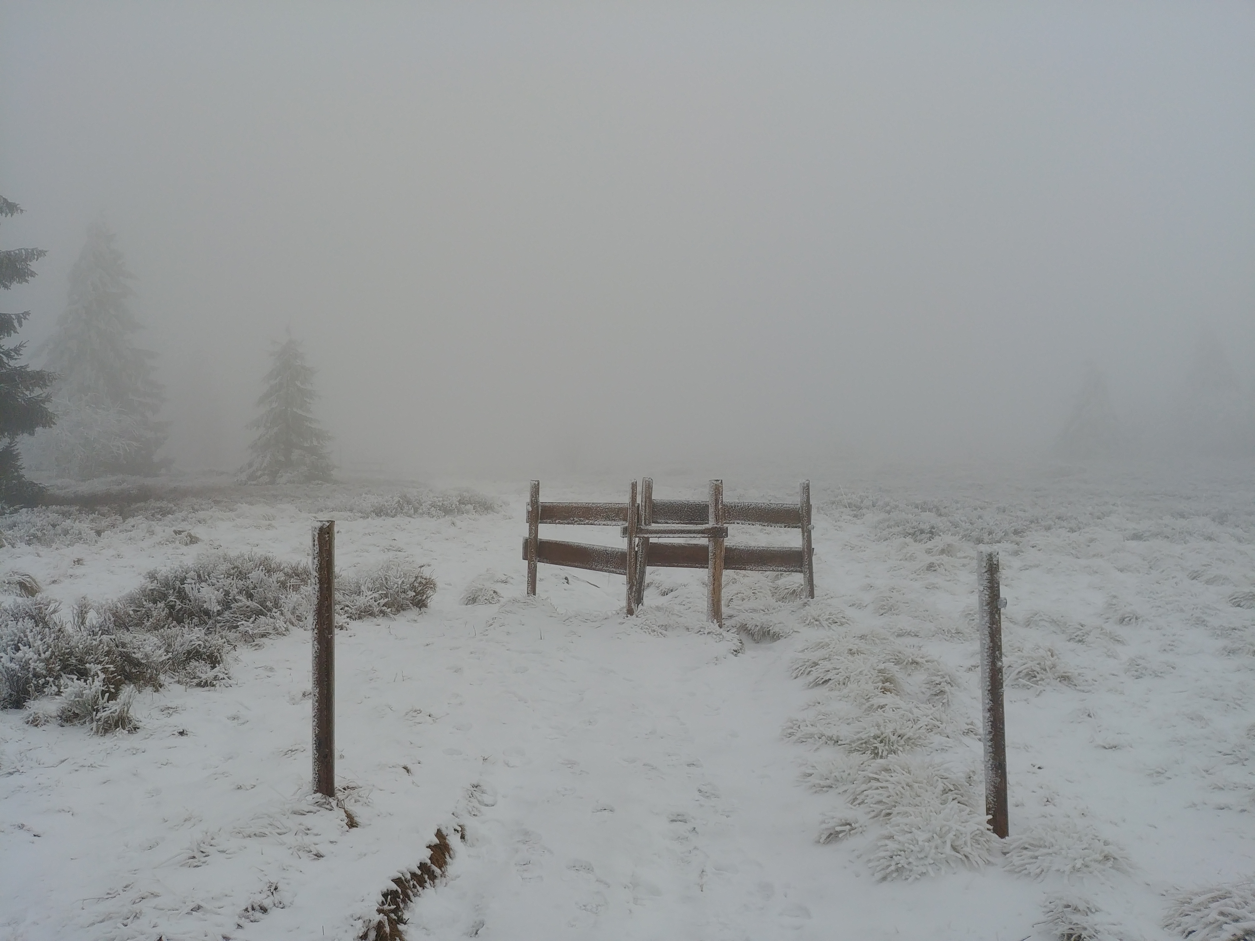 Photo n° 4 de l'avis de François.e fait le 06/03/2019 à 11:46