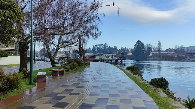 Valdivia, Los Ríos, Chile