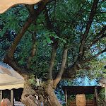 Photo n°1 de l'avis de Veronika.e fait le 08/08/2022 à 11:09 sur le  Ristorante Il Paiolo - Bed and Breakfast à Barberino di Mugello