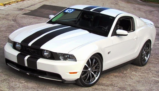 Car Dealer «Cars Unlimited», reviews and photos, 201 W Fletcher Ave, Tampa, FL 33612, USA