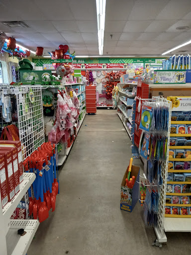 Dollar Store «Dollar Tree», reviews and photos, 1952 State Rd 44, New Smyrna Beach, FL 32168, USA
