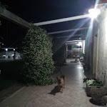 Photo n°1 de l'avis de Giacomo.a fait le 28/05/2018 à 07:01 sur le  Masseria del Sale à Manduria