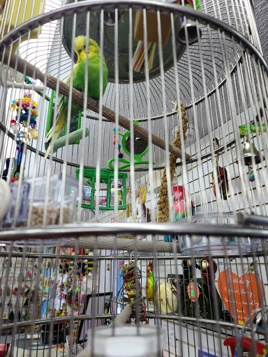 Pet Store «Farmer Girl Exotic Gardens», reviews and photos, 18940 Coastal Hwy, Rehoboth Beach, DE 19971, USA