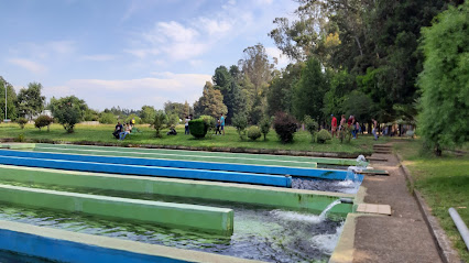 Piscina Municipal Parque Isabel Riquelme