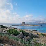 Photo n°12 de l'avis de Gabriele.i fait le 26/06/2023 à 21:08 sur le  Chiosco Bar La Torre à Stintino