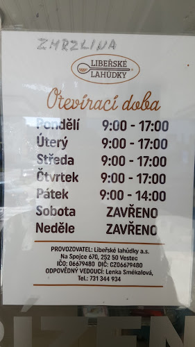 Česká zmrzlina z Opočna - Zmrzlina