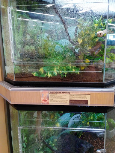 Pet Supply Store «Petco Animal Supplies», reviews and photos, 190 Quality Dr, Hooksett, NH 03106, USA