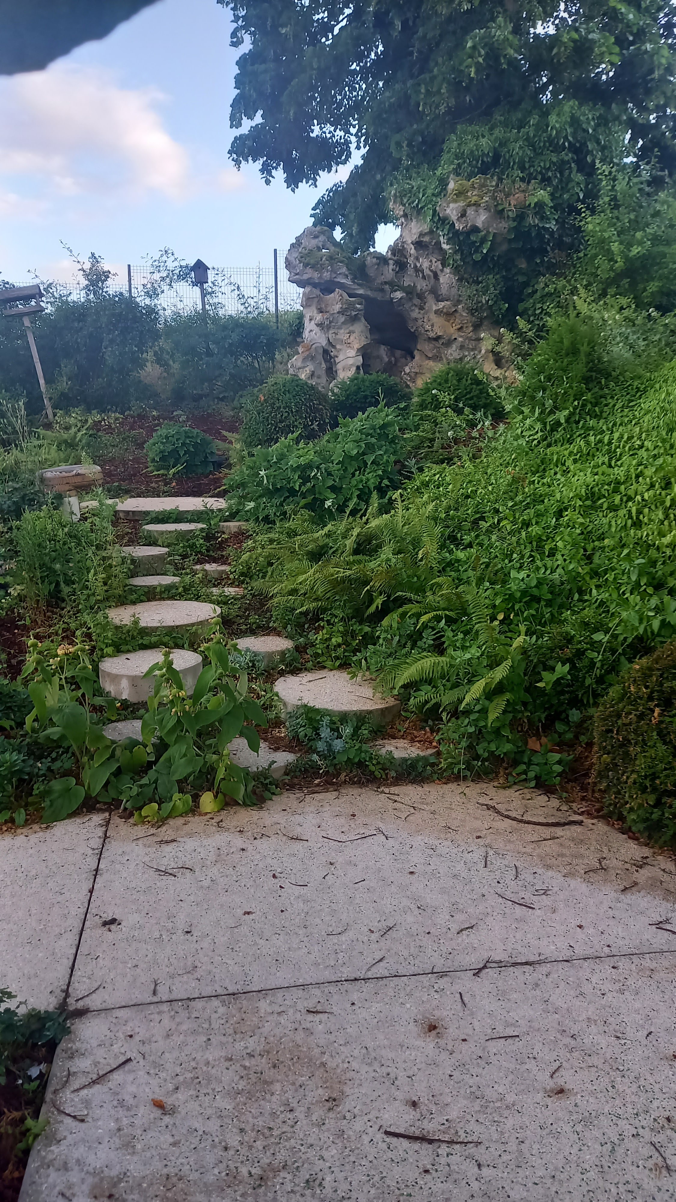 Photo n° 19 de l'avis de Nicolas.u fait le 20/06/2023 à 20:16