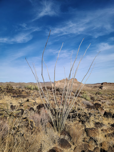 Hiking Area «Monolith Garden Trail», reviews and photos, Metwell Dr, Kingman, AZ 86401, USA