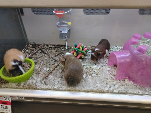 Pet Supply Store «Pet Supplies Plus», reviews and photos, 120 Sara Way, Belle Vernon, PA 15012, USA