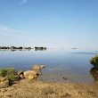 Werner-Boyce Salt Springs State Park