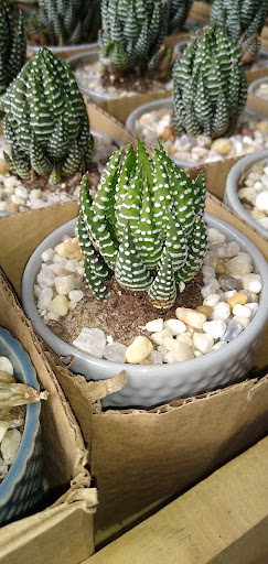 Home Improvement Store «The Home Depot», reviews and photos, 7001 Crestwood Blvd #1300, Birmingham, AL 35210, USA